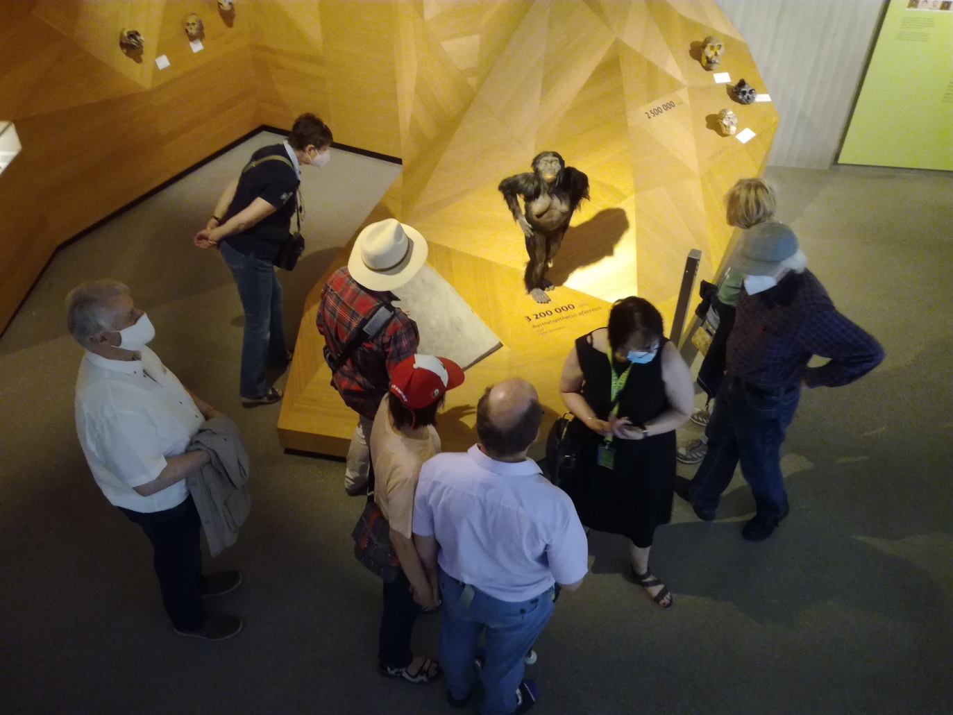  Gruppe im Museum vor dem Modell der Steinziet-Lucy