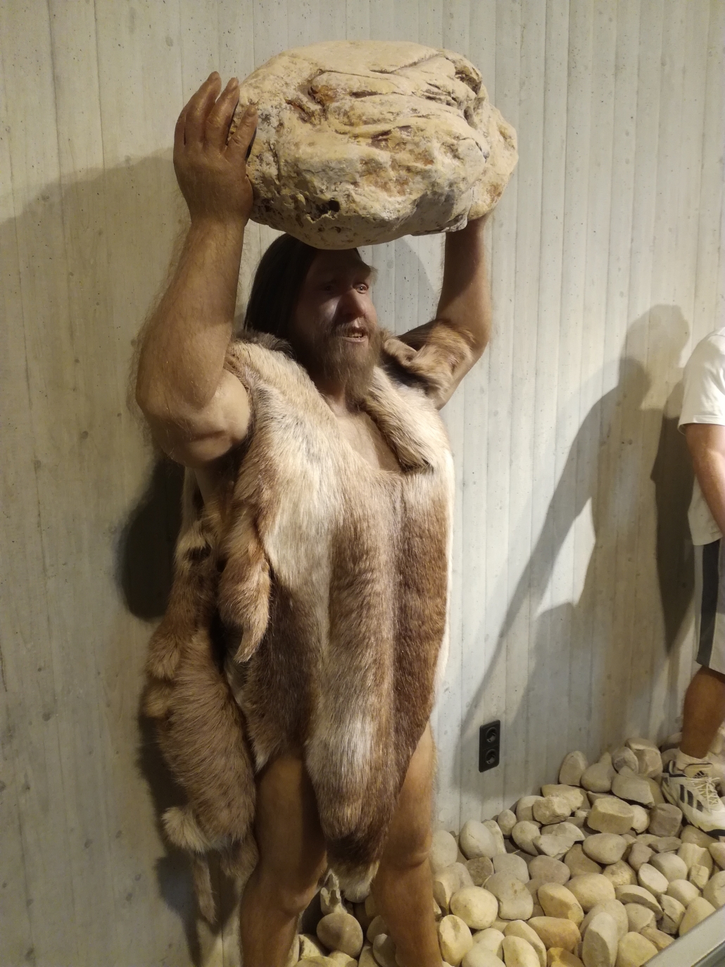 Ein mit Fellen bekleideter Neanderthaler stemmt einen Stein über seinem Kopf